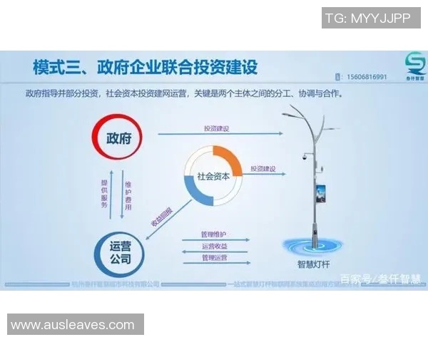 和平精英评论V5运营策略分析及其成功与不足之处探讨